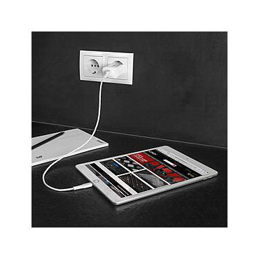 Lindy 18W USB Typ A Charger Schnelles Laden über ein USB Typ A-Kabel (73412)