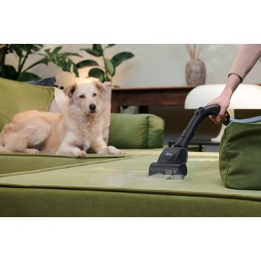 Hoover HE120PET 011 2,5 L Beholder vakuum Dry 700 W Støvpose