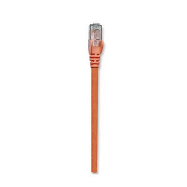 Intellinet patchkabel - 1.5 m - orange