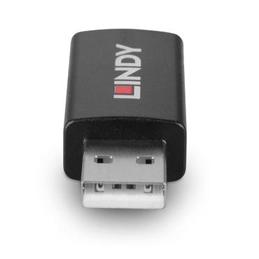 LINDY USB 2.0 Typ A an A Datenblocker Battery Charging 1.2