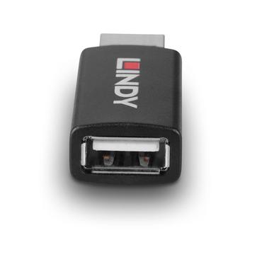 LINDY USB 2.0 Typ A an A Datenblocker Battery Charging 1.2