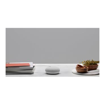 Google Nest Mini