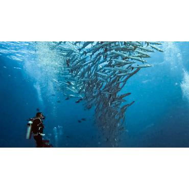 GoPro - marintaske til actionkamera