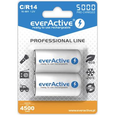 Everactive EVHRL14-5000 husholdningsbatteri Genopladeligt batteri Nikkel-Metalhydrid (NiMH)