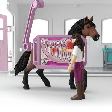 Horse Club Pferdeklinik "Heilende Hufe"