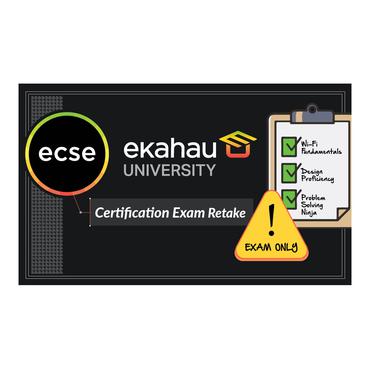 4DAY INSTR LED MULT CHOIC