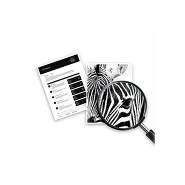 HP Versatile - svart - original - bläckpatron