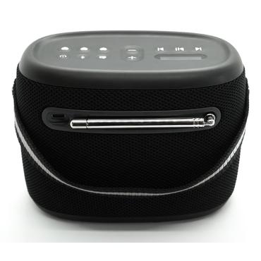 Pure Woodland wasserdichter Outdoor-Lautsprecher mit FM/DAB+ Radio, schwarz