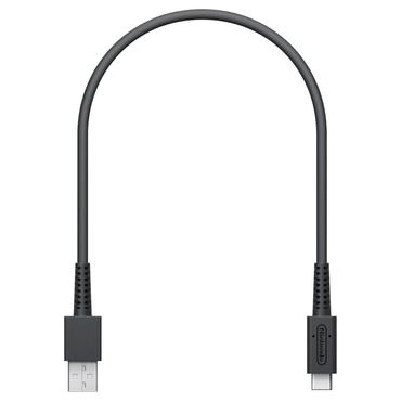 Mario Kart Live Home Circuit