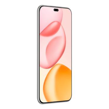 Honor 400 Pro 17 cm (6.7") MagicOS 9.0 5G 12 GB 512 GB 5300 mAh Grå