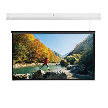 Projecta DescenderPro SightLine 218x290