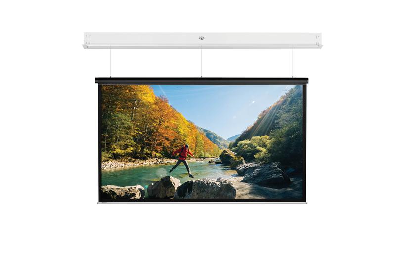 Projecta DescenderPro SightLine 218x290