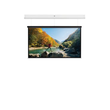 Projecta DescenderPro SightLine 218x290