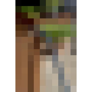 Gardena Liano Xtreme - slange - 15 m