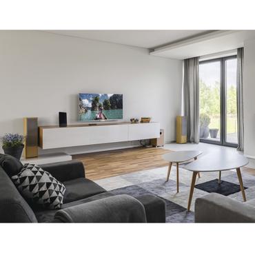 Hama DVB-T2 PRO50 FL-2