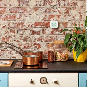 Shelly · Sensor · GAS · CNG