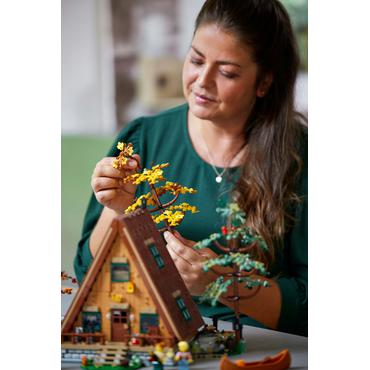 LEGO&Acirc;&laquo; Ideas - Finnh&Atilde;&frac14;tte