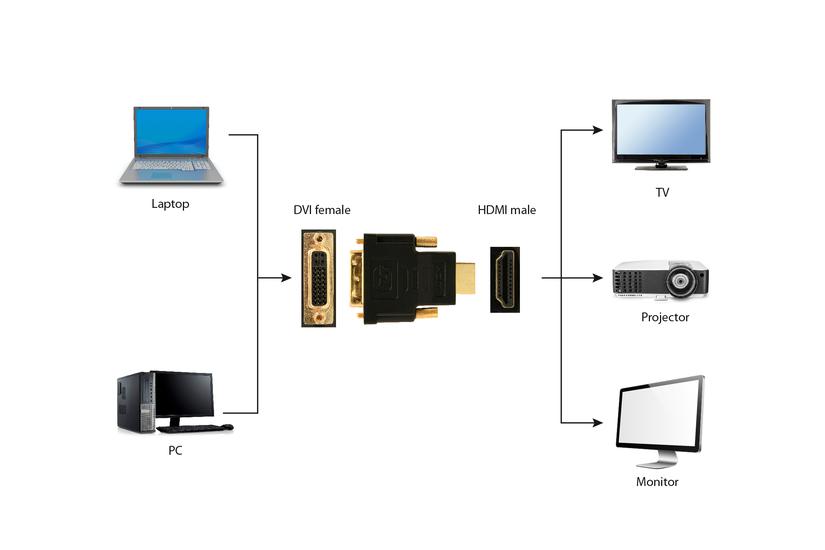Cablexpert A-HDMI-DVI-3 - videoadapter - HDMI / DVI