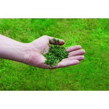 Einhell GE-CM 36/43 Li M-Solo Skubbe plæneklipper Batteri Sort, Rød