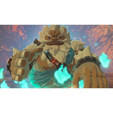 The Legend of Zelda Breath of the Wild Nintendo Switch