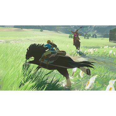 The Legend of Zelda Breath of the Wild Nintendo Switch