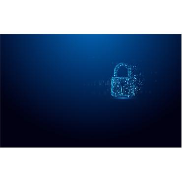 Kingston IronKey Vault Privacy 50 Series