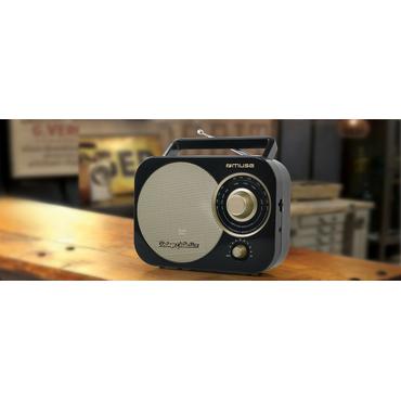 Muse M-055 RB Bærbar Analog Sort, Guld