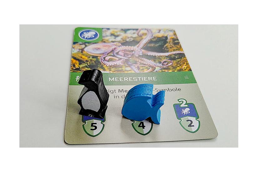 Asmodee Arche Nova: Wasserwelten Udvidelsespakker til brætspil Strategi