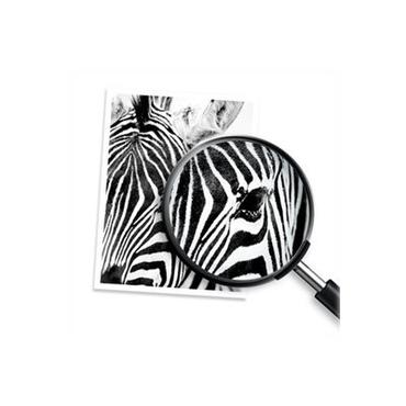 HP 45A - 10-pack - svart - original - tonerkassett (CG339A)