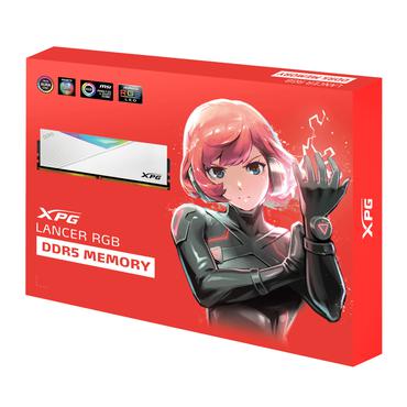 warehouse Linden----ADATA DDR5  64GB 6400-32 K2 Lancer RGB w  XPG-Series, white