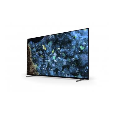 Sony Bravia Professional Displays FWD-55A80L A80L Series