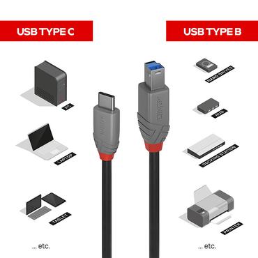 Lindy 36668 USB-kabel USB 3.2 Gen 1 (3.1 Gen 1) 3 m USB C USB B Sort