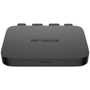 Ładowarka Samochodowa EcoFlow Alternator Charger