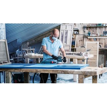 Bosch Expert C470 - sandpapper - f&ouml;r l&ouml;vtr&auml;, m&aring;larf&auml;rg p&aring; tr&auml; - 5 delar