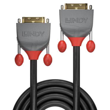 Lindy 36223 DVI kabel 3 m DVI-D Sort
