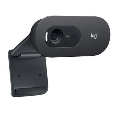 Logitech C505e - webcam
