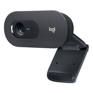 Logitech C505e - webcam