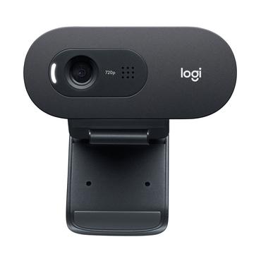 Logitech C505e - webcam
