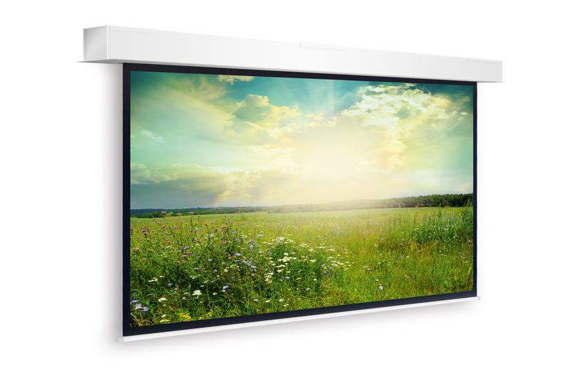 Projecta Screen Surface Assembly Descend