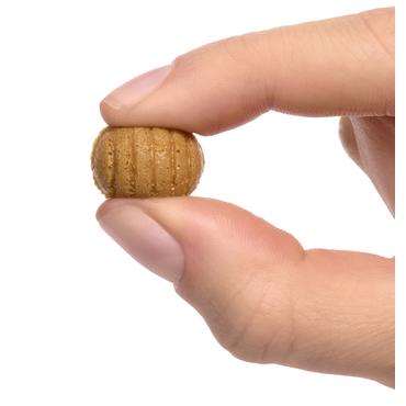 Miniverse Make It Mini From Scratch Series 2