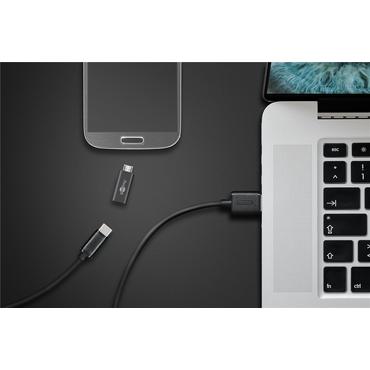 Goobay 55553 kabel k&oslash;nsskifter USB Micro B USB C Gr&aring;