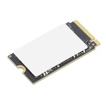 Lenovo - 256 GB - PCIe 4.0 x4