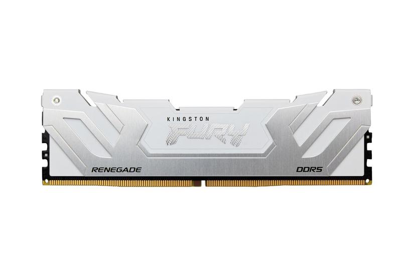 Kingston Technology Fury 24 Gb 8800 Mt/s Ddr5 Cl42 Cudimm Renegade Hvid