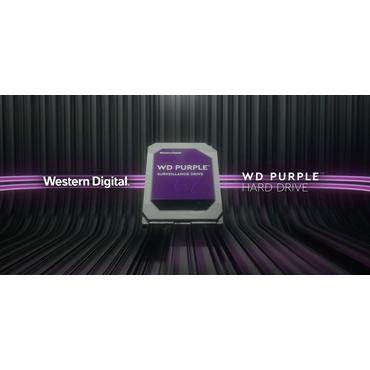 Western Digital SSD