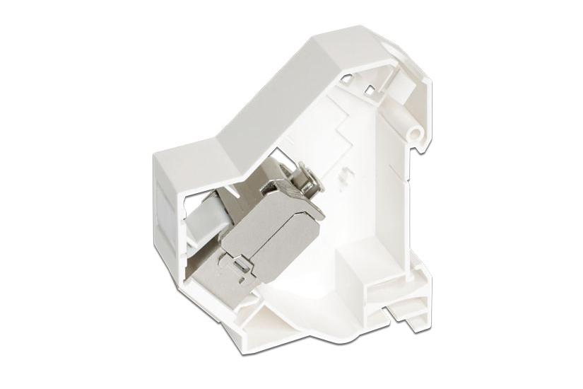 Delock Keystone Mounting for DIN rail - monteringssats f&ouml;r DIN-skena