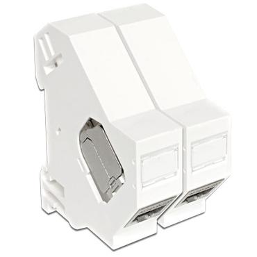 Delock Keystone Mounting for DIN rail - monteringssats f&ouml;r DIN-skena