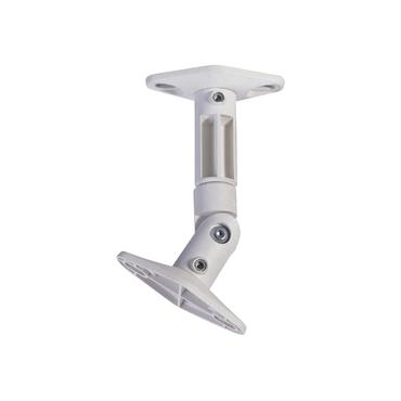 NewStar SPEAKER-W100