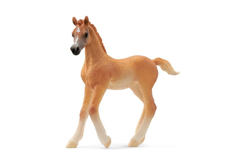 Schleich Horse Club        13984 Araber Fohlen