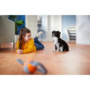 Philips PowerPro Expert FC9747 - støvsuger - beholder - blæksort