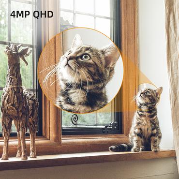 Imou A1 4MP Sfærisk IP-sikkerhedskamera Indendørs 2560 x 1440 pixel Loft/væg